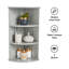 Garza 3 Piece Corner Accent Shelf-1527442969