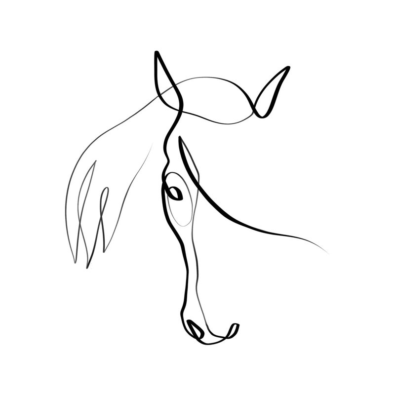 Horse IV by Dane Khy - Wrapped Canvas Print, 66.04 cm H x 66.04 cm W