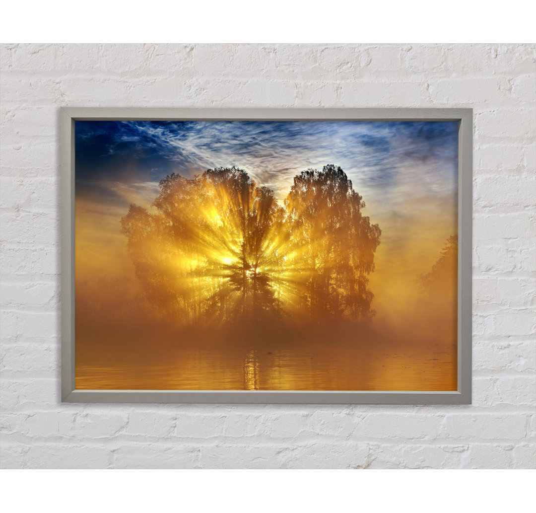 Golden Sunburst Tree - Druck