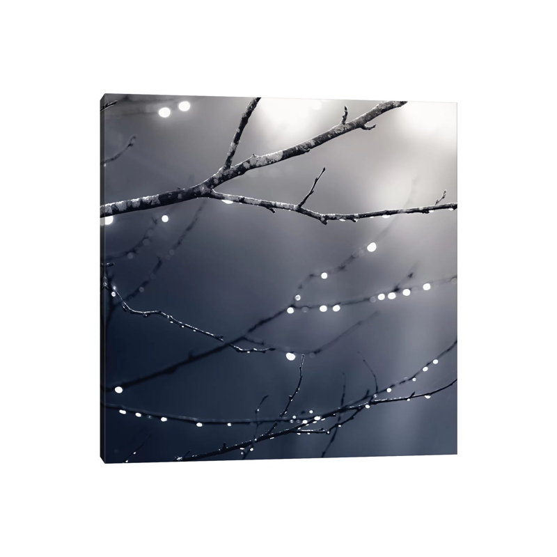 Dark Blue Forest Square by Monika Strigel - Wrapped Canvas Print, 30.48 cm H x 30.48 cm W