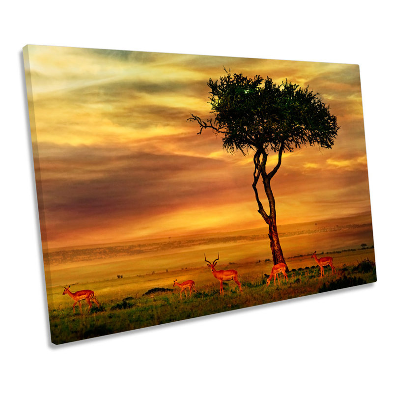 African Sunset Landscape - Wrapped Canvas Print, 40.6cm H x 61cm W x 2cm D