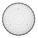 Jelly Acrylic Dinner Plate
