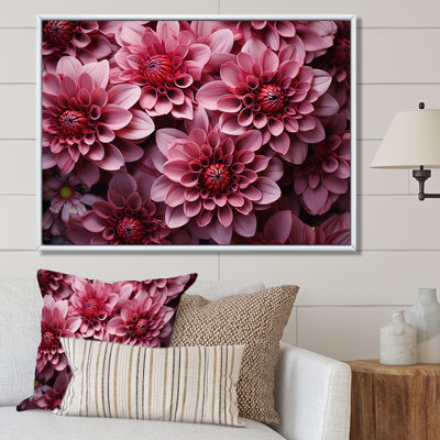 " Pink Mums Mesmerizing II "