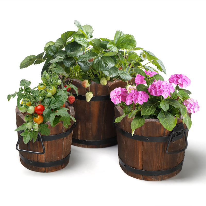 Ensemble de 3 pots de fleurs en cèdre Akef
