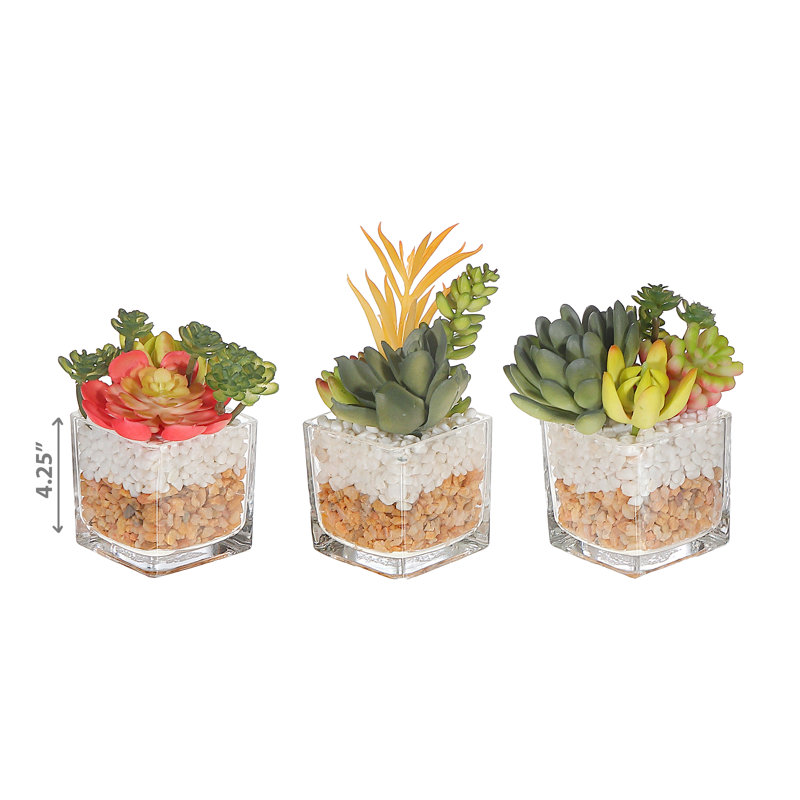 Ensemble de 3 plantes grasses artificielles dans un pot à fleurs