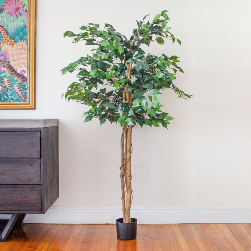 Arbre ficus artificiel en pot, H 84 po x l 36 po x P 36 po