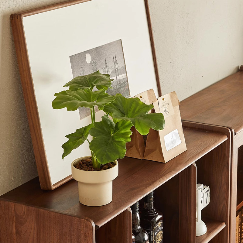 Light luxury black walnut bookcase