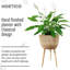 GAIA Tall Indoor Plant Pot Stand for House Plants with Waterproof Liner | Natural Wooden House Planter with Legs -92659217