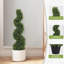 Bonsaï décoratif-402166566