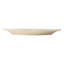 Stoneware Dinner Plate
