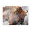 No Frame Print on Canvas-316297653