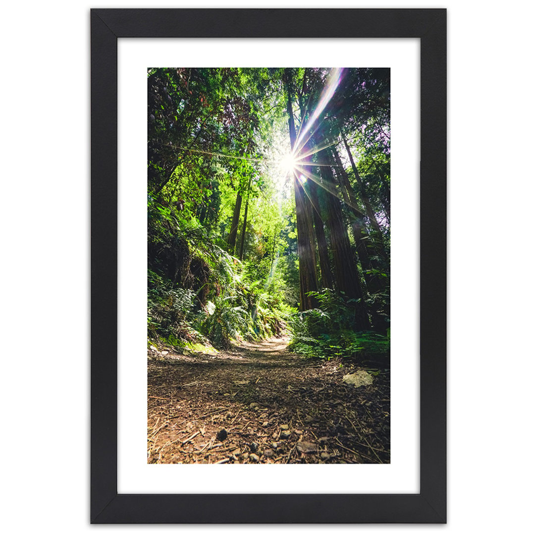 Gerahmter Grafikdruck, Dschungel Wald Natur GrÃ¼n