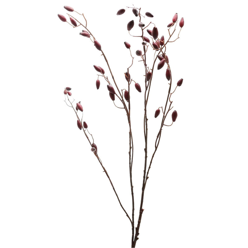 Aneissa Arrangement