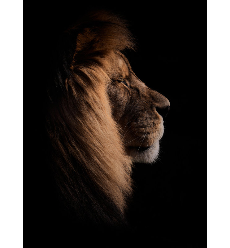 Wrapped Canvas Print, 60.96 cm H x 91.44 cm W