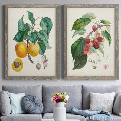Abricot Peche - ensemble de reproduction d'art sur toile