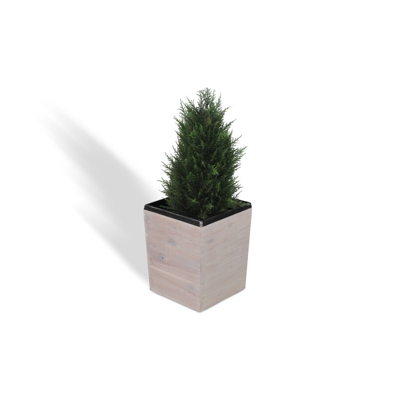 Boîte à fleurs en bois Campton, H 17 po x l 14 po x P 14 po, Blanc délavé