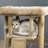 Mohr 144.78cm H Cat Tree