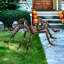 Paquet de 3 décorations d'Halloween araignée 5 pi-1061808603