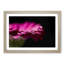Pink Gerbera Flower - Picture Frame Painting Print-55584039-55584041