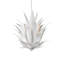Lustre blanc Agave