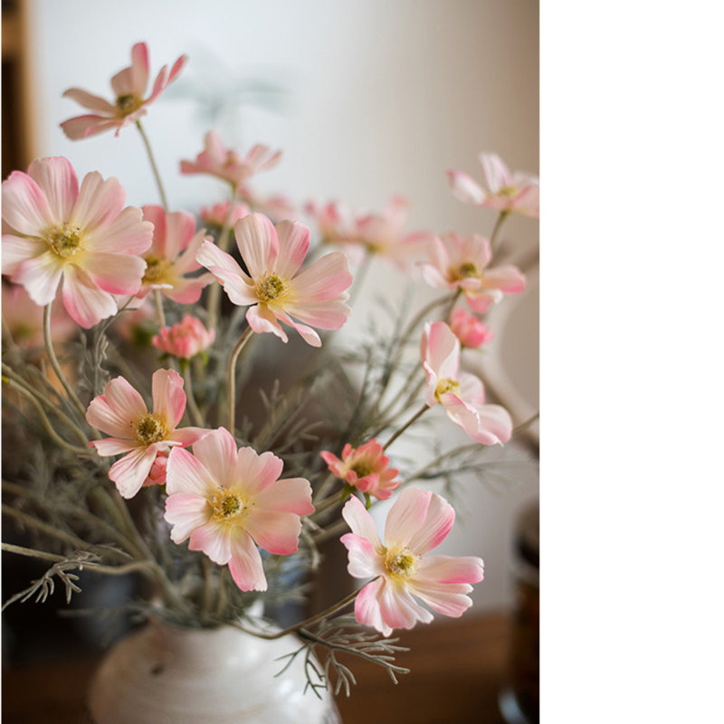 Cosmos Arrangement