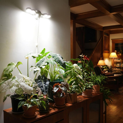 Wall Mounted Grow Light, 30W Dual Head Full Spectrum with Remote，Programmable Timer, 4-Level Dimmable Brightness, 320° Wide Coverage, 4000K Natural Light, IP54 Waterproof, for Indoor Plants