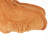 Supersoft Bedrest Pillow Cover & Insert-2006388759