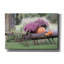 «Fall Show» par Lori Deiter, art mural sur toile-1371956710