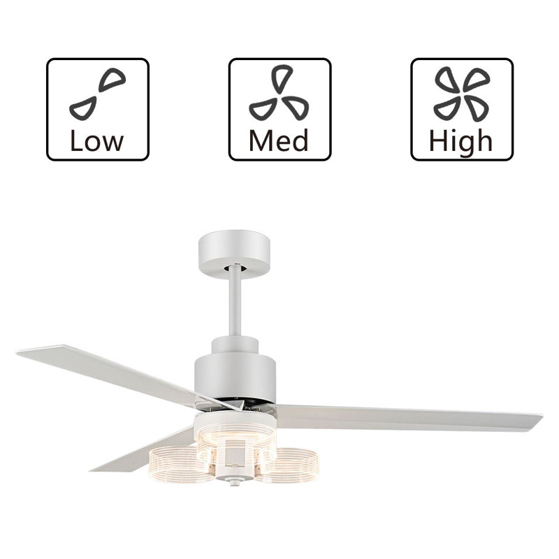 Sanaia 48'' Ceiling Fan with LED Lights