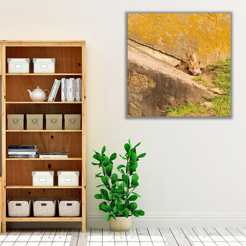 Fox Cubs II - reproduction d'art sur toile, H 30 po x l 30 po