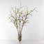 Arrangement floral floral quince en vase