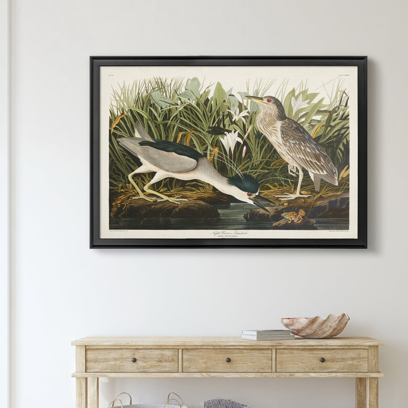 Night Heron - reproduction d'art sur toile encadrée, H 30,5 po x l 42,5 po x P 1,5 po, Noir