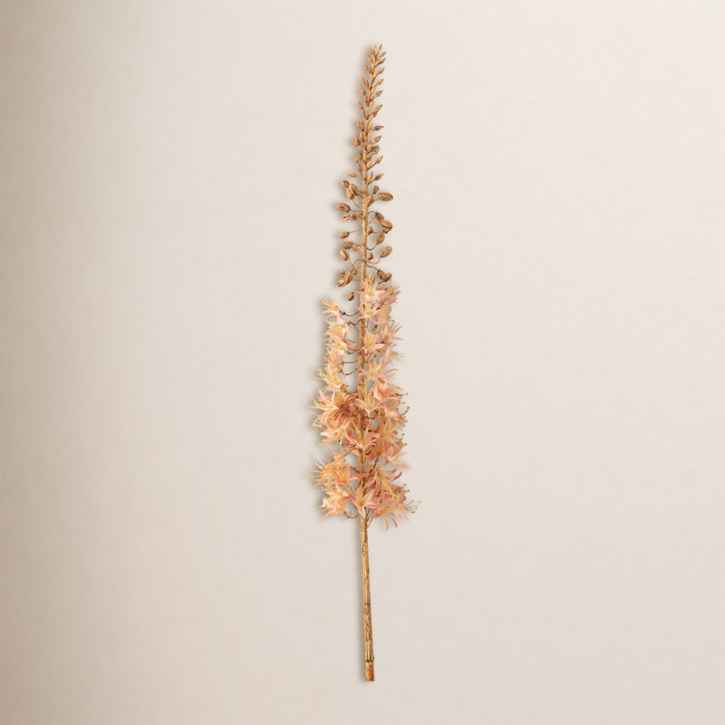 Arrangement Eremurus, Pêche