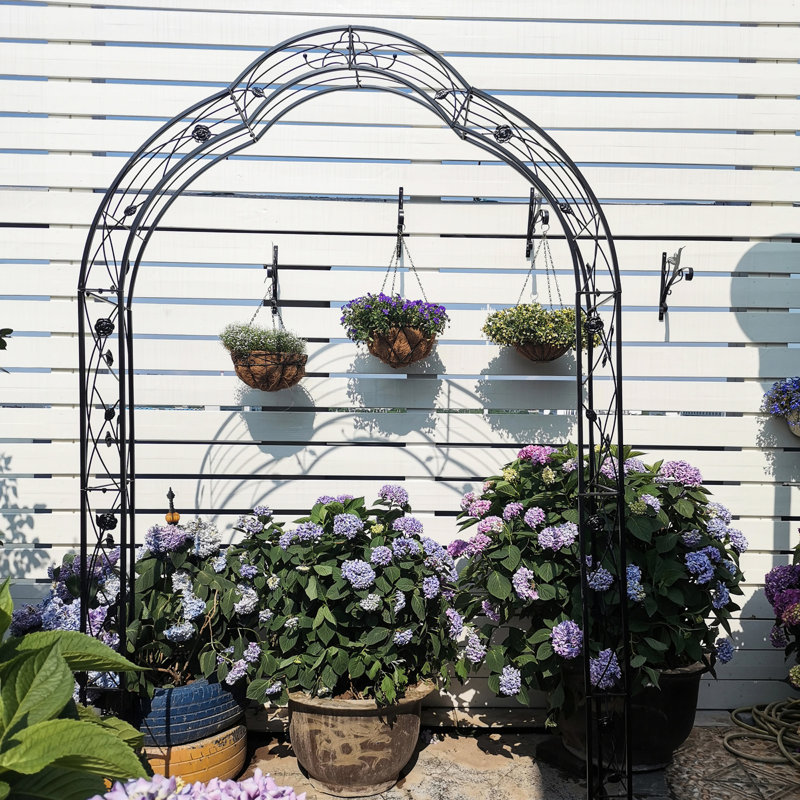 Jardin en métal pour événements - Décorez librement, 99,44 po Hautes plantes à treillis arqué noir, Black