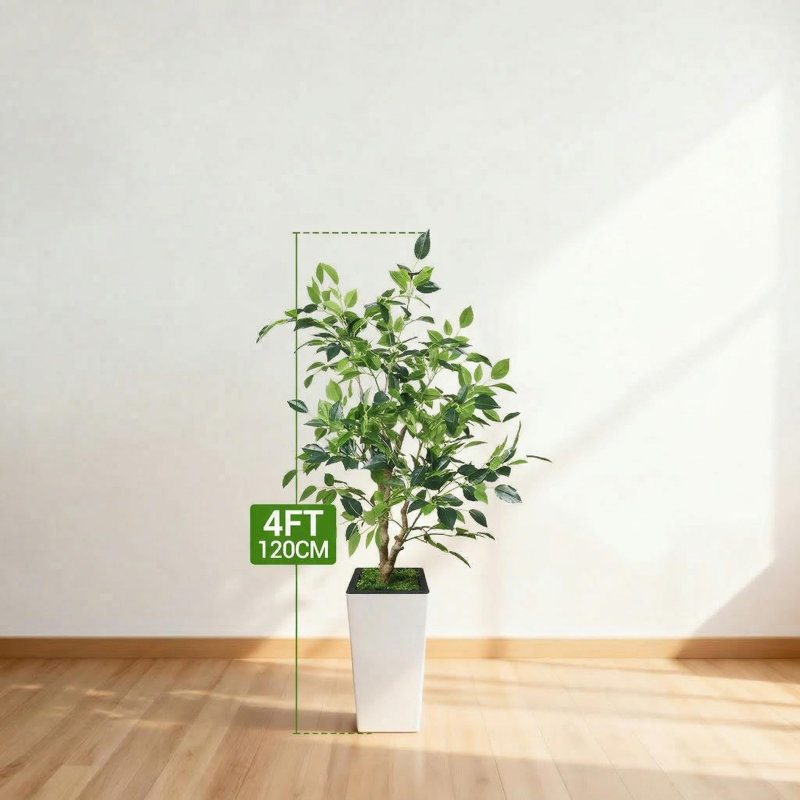 Plant, 120cm H x 23cm W x 23cm D