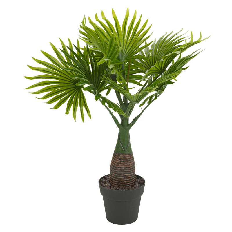 40cm Palm Plant in Pot