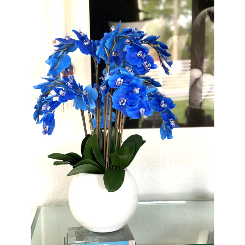 Phalaenopsis Orchid Floral Arrangement in Pot, Blue