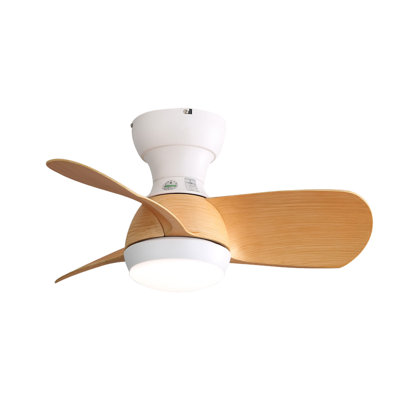 23'' Ceiling Fan with LED Lights