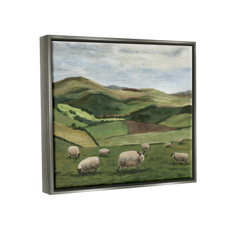 Moutons de campagne en pâture, Cadre flottant gris lustré, H 17 po x l 21 po x P 1,7 po