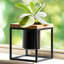 Petit porte-votive cube en verre-238828198