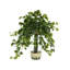 Lierre artificiel 9 "dans un vase Jenner