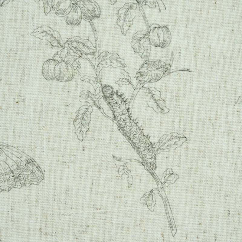 Baudin Butterfly Linen Wallpaper, Black