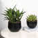 Latitude Run® Handmade Metal Pot Planter | Wayfair