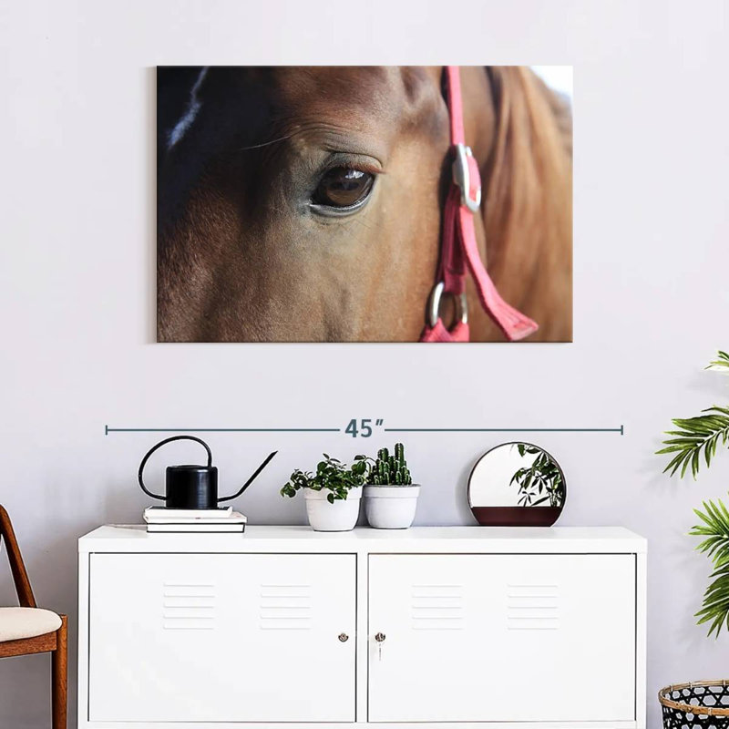 Brown Horse Eye, 24" H x 36" W