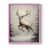 Rose n'est pas disponible