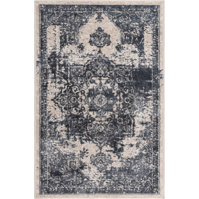 Parrado Ikat Indoor Rug