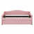 Rose est en rupture de stock
