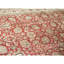 Hand Knotted Wool Area Rug in Red And Ivory