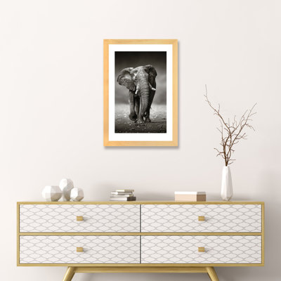Elephant Approach From The Front by Johan Swanepoel - Print