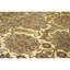 Hand Knotted Wool Oriental Area Rug in Gold And Green